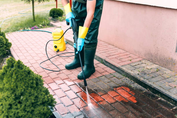 Best Sidewalk and Walkway Cleaning  in Roanoke, AL